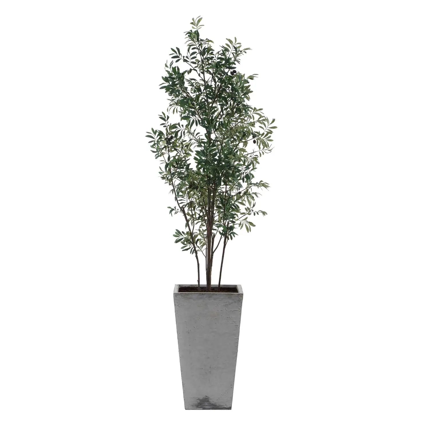 UTTERMOST Sonora Olive Tree - Decorative Accents