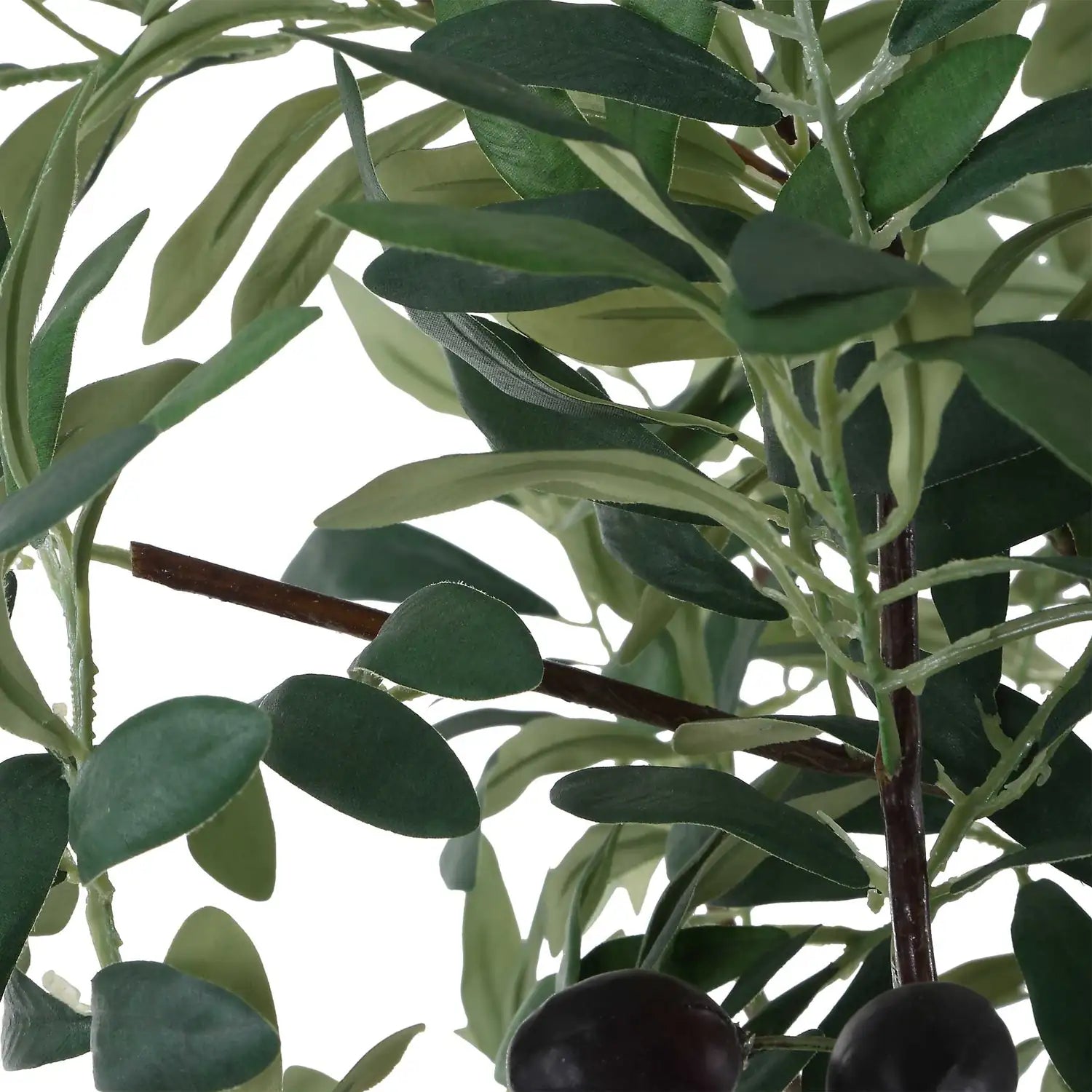 UTTERMOST Sonora Olive Tree - Decorative Accents