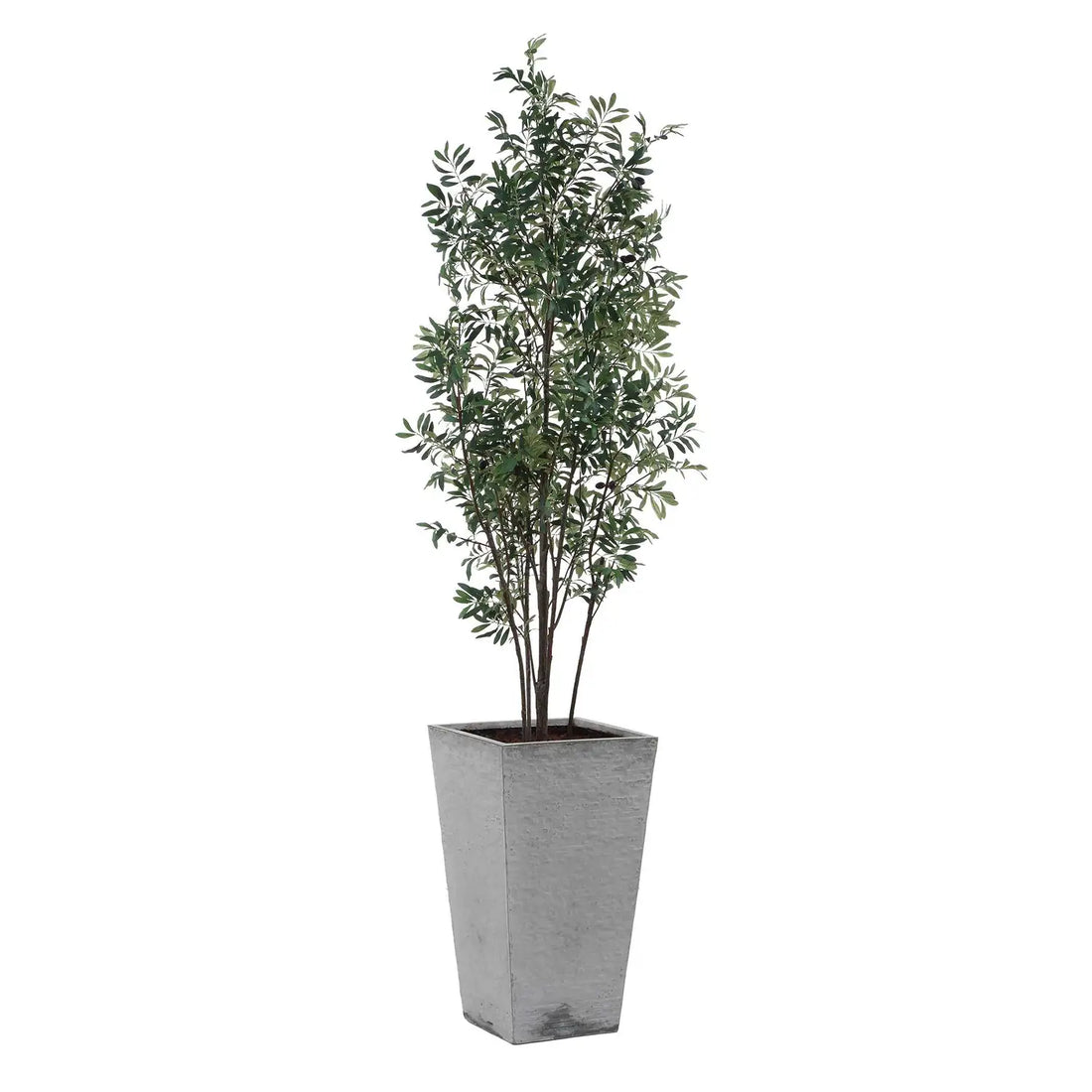 UTTERMOST Sonora Olive Tree - Decorative Accents