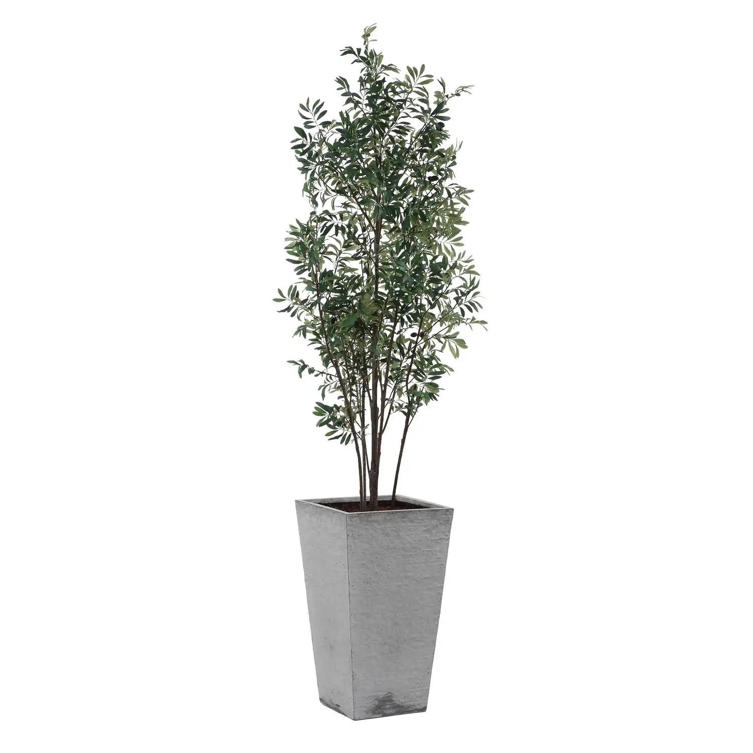 UTTERMOST Sonora Olive Tree - Decorative Accents