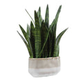 UTTERMOST Sansera Snake Accent Plant - Decorative Accents