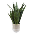 UTTERMOST Sansera Snake Accent Plant - Decorative Accents