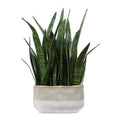 UTTERMOST Sansera Snake Accent Plant - Decorative Accents