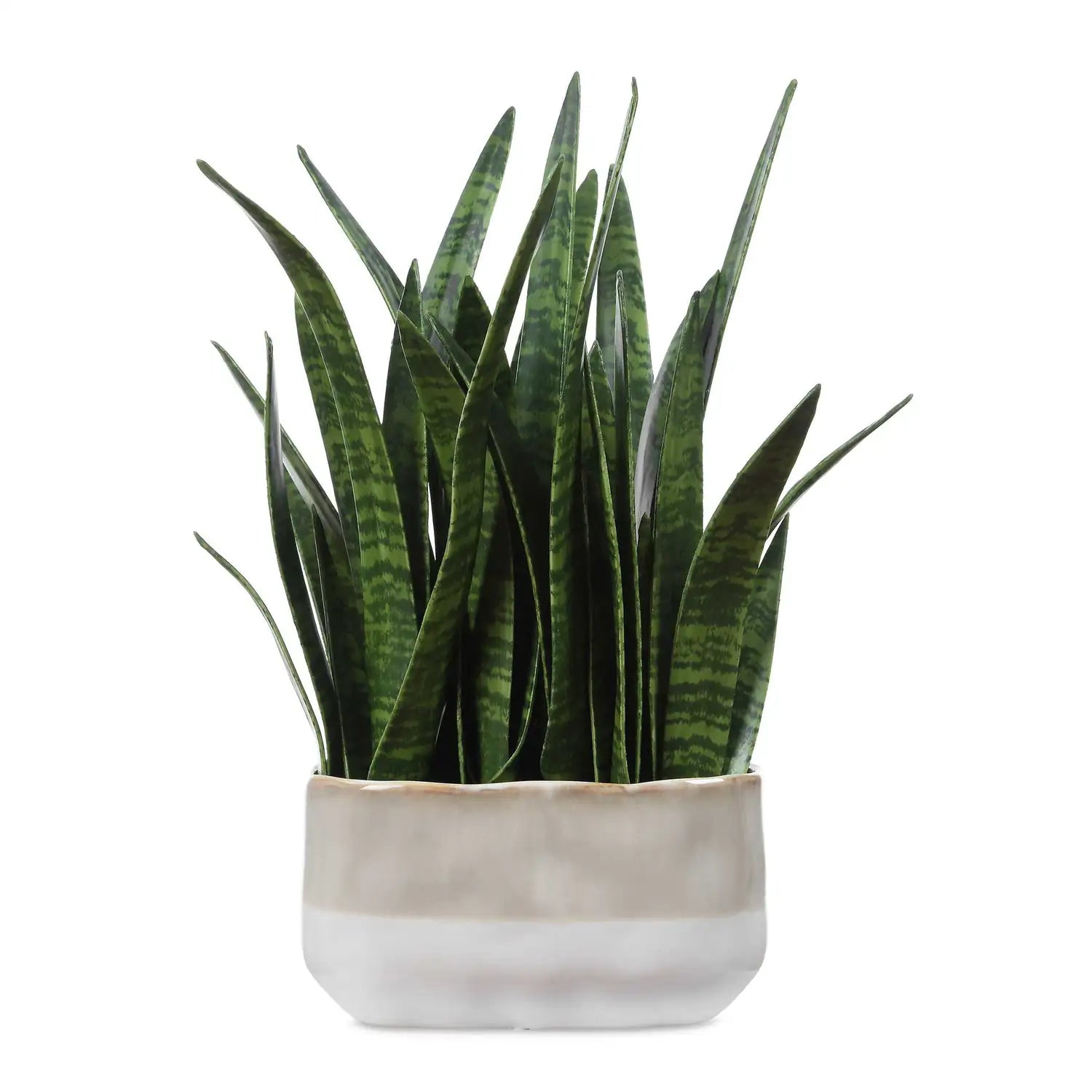 UTTERMOST Sansera Snake Accent Plant - Decorative Accents