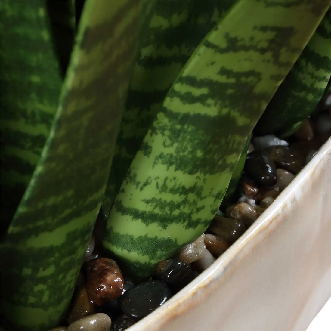 UTTERMOST Sansera Snake Accent Plant - Decorative Accents