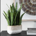 UTTERMOST Sansera Snake Accent Plant - Decorative Accents
