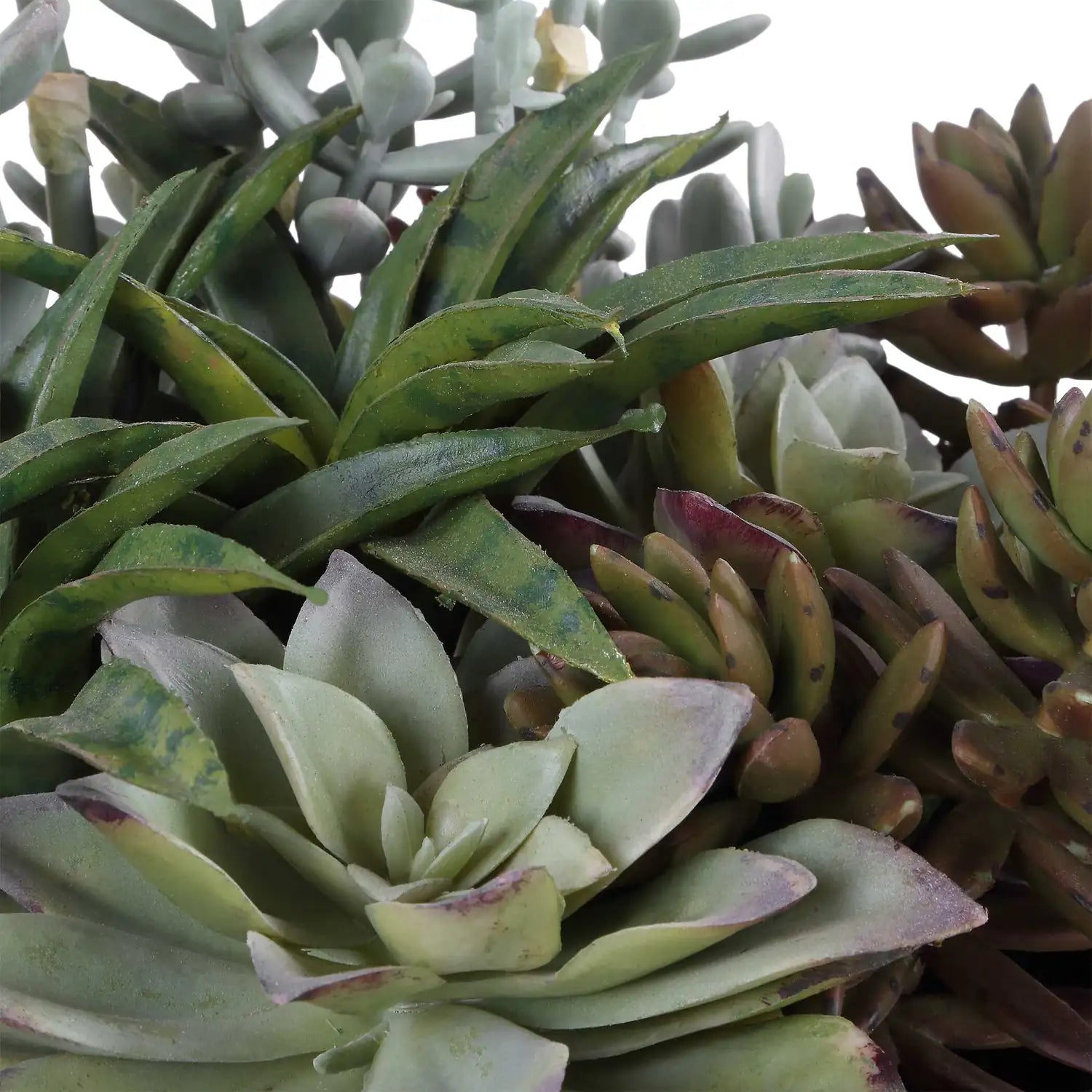 UTTERMOST Greystone Indoor-Outdoor Succulent - Decorative Accents