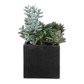 UTTERMOST Greystone Indoor-Outdoor Succulent - Decorative Accents