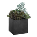 UTTERMOST Greystone Indoor-Outdoor Succulent - Decorative Accents
