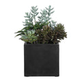 UTTERMOST Greystone Indoor-Outdoor Succulent - Decorative Accents