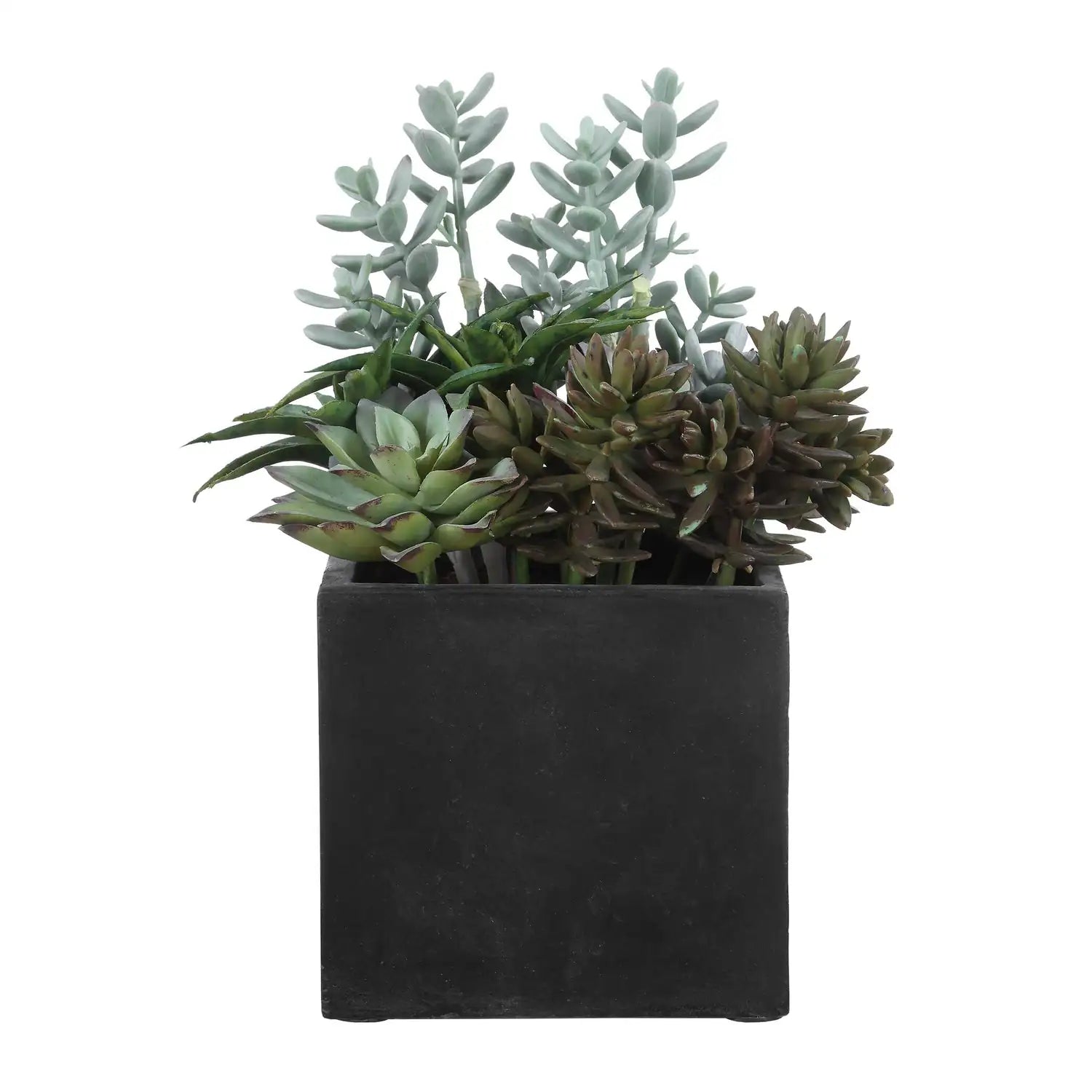 UTTERMOST Greystone Indoor-Outdoor Succulent - Decorative Accents