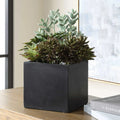 UTTERMOST Greystone Indoor-Outdoor Succulent - Decorative Accents