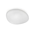 VISTOSI, NEOCHIC FLUSH MOUNT, FLUSH MOUNT CEILING LIGHTS