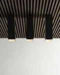 VISUAL COMFORT & CO., EXO CEILING, FLUSH MOUNT CEILING LIGHTS