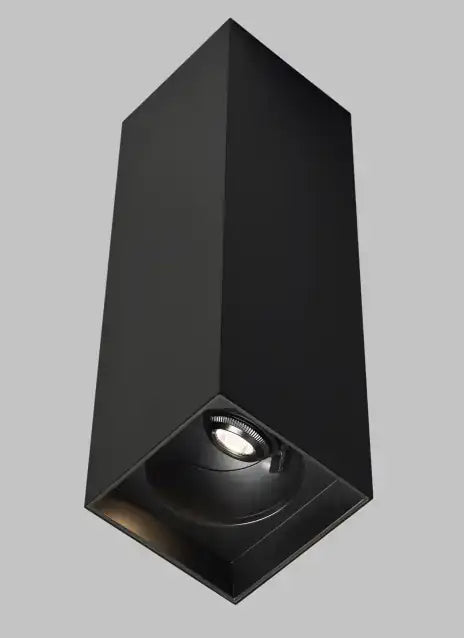 VISUAL COMFORT & CO., EXO CEILING, FLUSH MOUNT CEILING LIGHTS