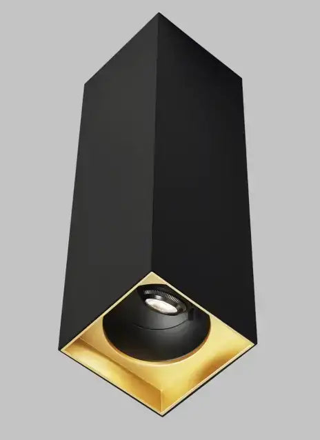 VISUAL COMFORT & CO., EXO CEILING, FLUSH MOUNT CEILING LIGHTS
