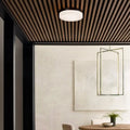 VISUAL COMFORT MODERN, CIRQUE OUTDOOR WALL/FLUSH MOUNT, OUTDOOR WALL LIGHTS