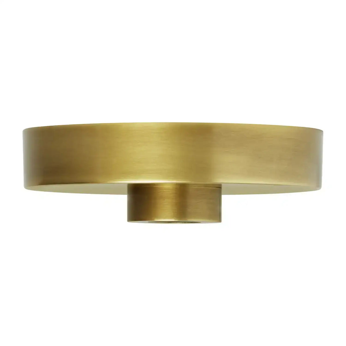 VISUAL COMFORT MODERN LINE-VOLTAGE SHALLOW CANOPY