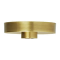 VISUAL COMFORT MODERN LINE-VOLTAGE SHALLOW CANOPY