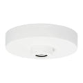 VISUAL COMFORT MODERN LINE-VOLTAGE SHALLOW CANOPY