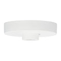 VISUAL COMFORT MODERN LINE-VOLTAGE SHALLOW CANOPY