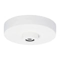 VISUAL COMFORT MODERN LINE-VOLTAGE SHALLOW CANOPY