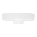 VISUAL COMFORT MODERN LINE-VOLTAGE SHALLOW CANOPY