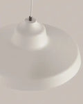 VISUAL COMFORT & CO., ZEVO LINE-VOLTAGE PENDANTS, PENDANT LIGHT