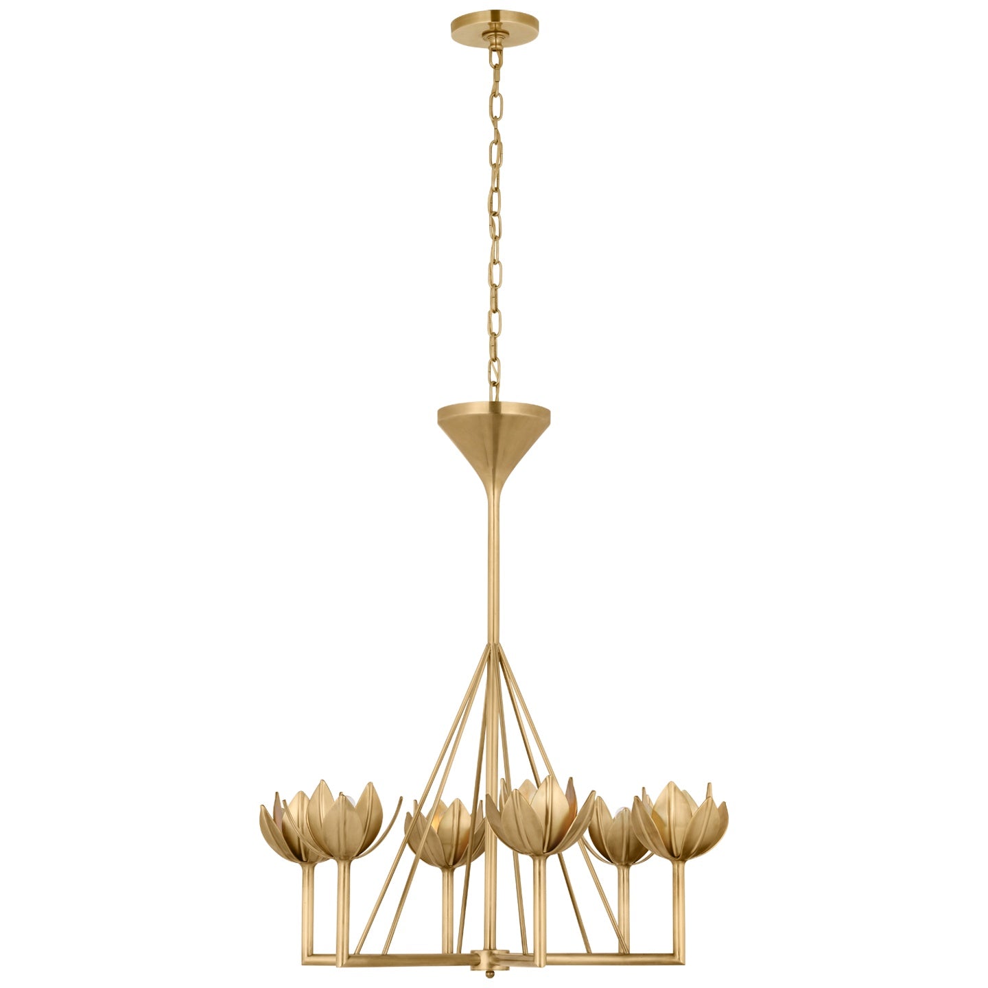 VISUAL COMFORT SIGNATURE, ALBERTO CHANDELIER, CHANDELIER LIGHT