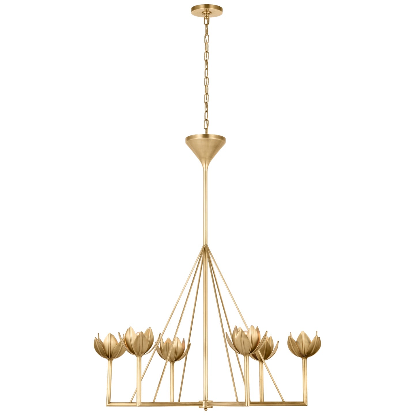 VISUAL COMFORT SIGNATURE, ALBERTO CHANDELIER, CHANDELIER LIGHT
