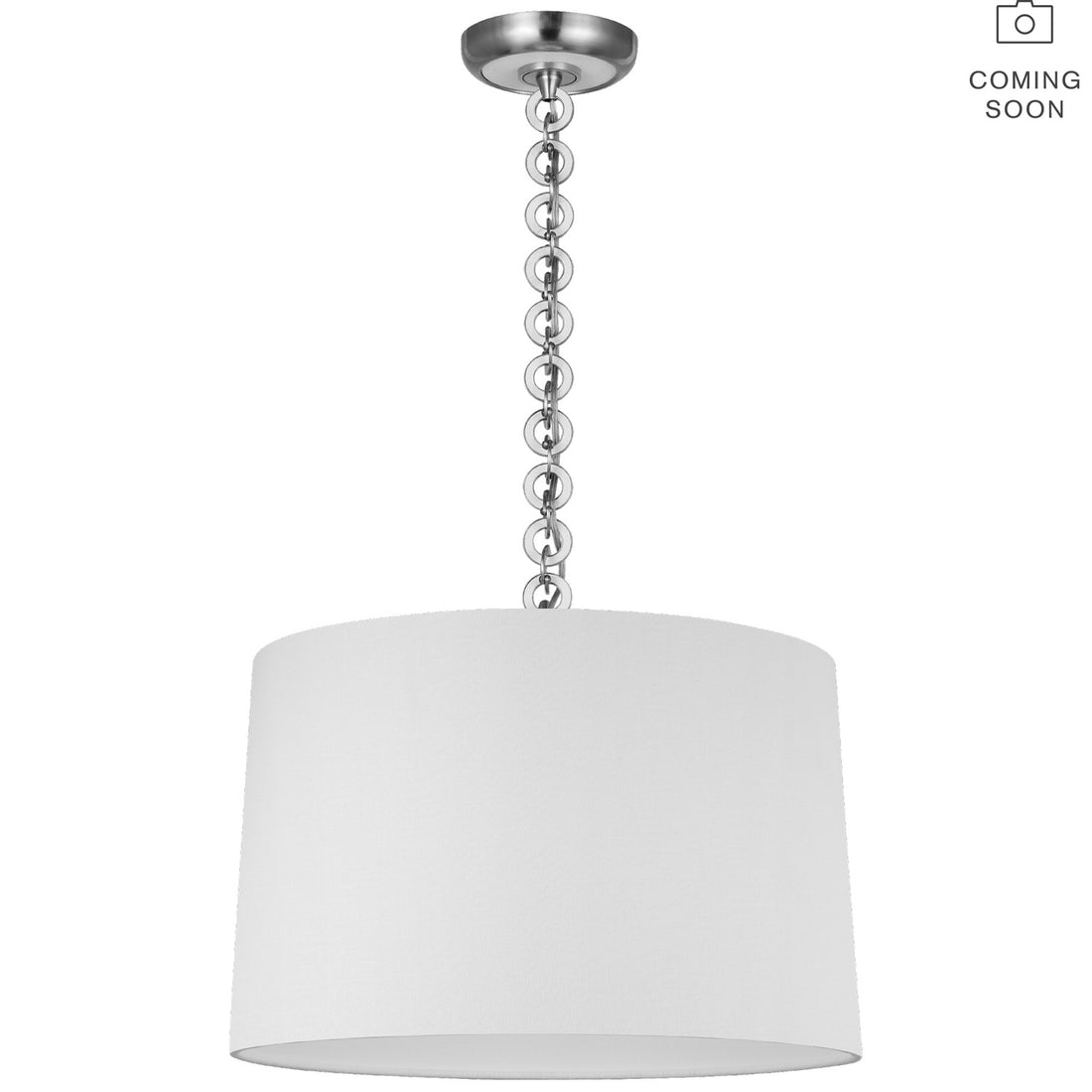 VISUAL COMFORT SIGNATURE EVELYN HANGING SHADE