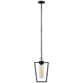 VISUAL COMFORT SIGNATURE, PRESIDIO PETITE CAGED PENDANT, PENDANT LIGHT