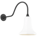 VISUAL COMFORT SIGNATURE, ACADEMY FLYNN BARN LIGHT, OUTDOOR WALL LIGHTS