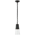 VISUAL COMFORT SIGNATURE, ROBINSON PENDANT, PENDANT LIGHT
