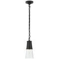 VISUAL COMFORT SIGNATURE, ROBINSON PENDANT, PENDANT LIGHT