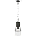 VISUAL COMFORT SIGNATURE, ROBINSON PENDANT, PENDANT LIGHT