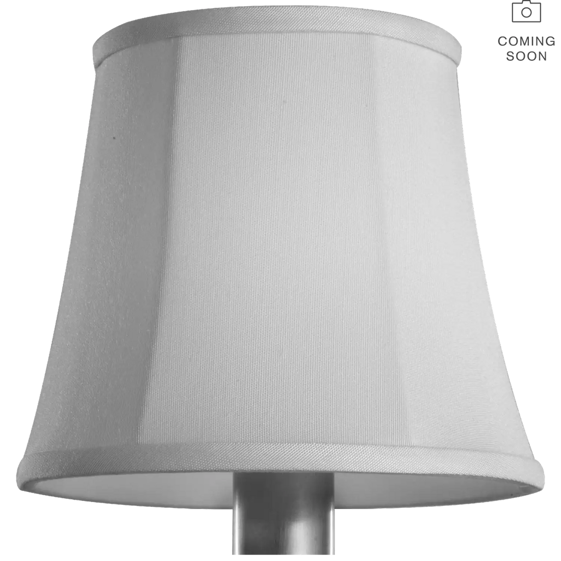 VISUAL COMFORT SIGNATURE CHAMPAGNE SILK SOFT EMPIRE SHADE - DO NOT SHOW ON WEBSITE