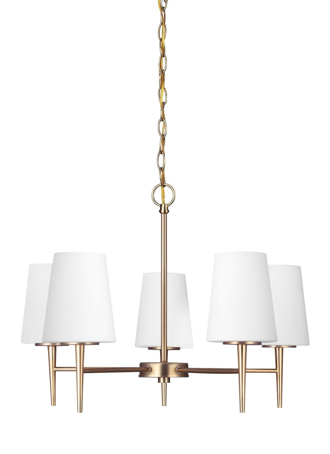 GENERATION LIGHTING, DRISCOLL FIVE LIGHT CHANDELIER, CHANDELIER LIGHT