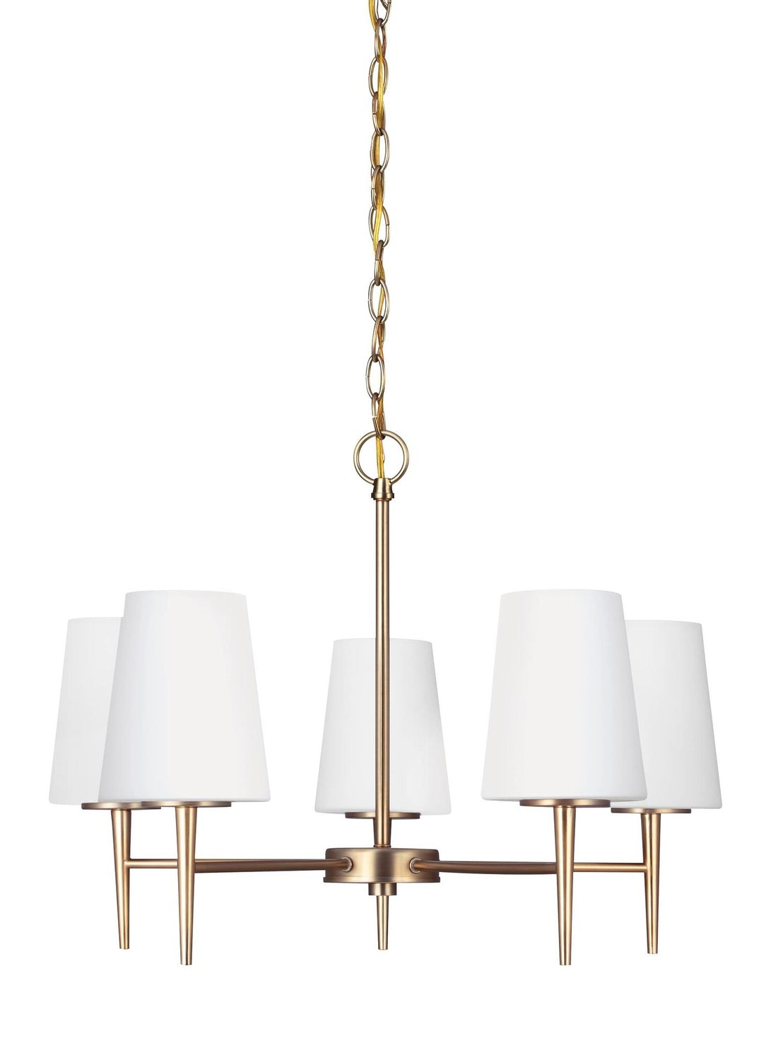 GENERATION LIGHTING, DRISCOLL FIVE LIGHT CHANDELIER, CHANDELIER LIGHT