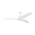 VISUAL COMFORT & CO., AVILA COASTAL CEILING FAN, OUTDOOR CEILING FAN
