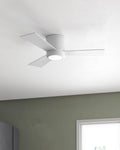 GENERATION LIGHTING, CLARITY CEILING FAN, INDOOR CEILING FANS
