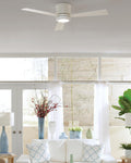GENERATION LIGHTING, CLARITY CEILING FAN, INDOOR CEILING FANS