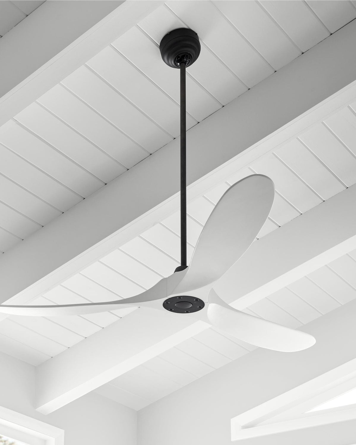 VISUAL COMFORT FAN, MAVERICK LED CEILING FAN, INDOOR CEILING FANS
