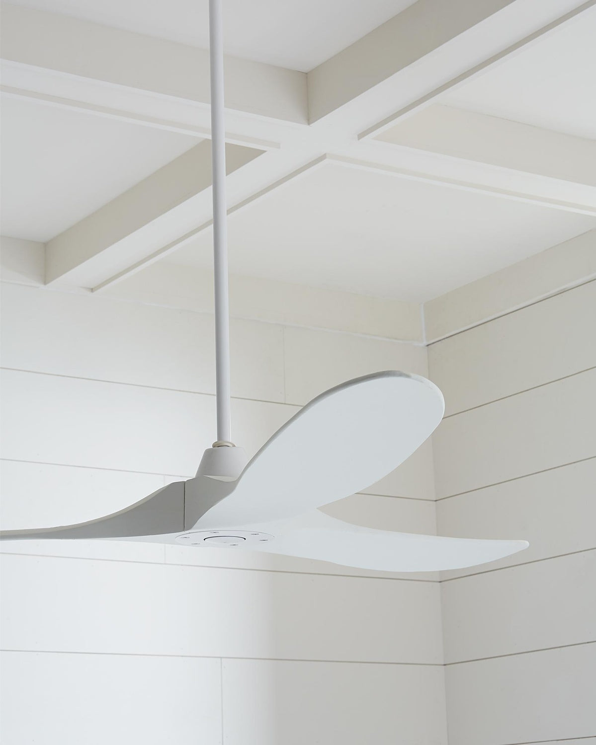 VISUAL COMFORT FAN, MAVERICK CEILING FAN, INDOOR CEILING FANS