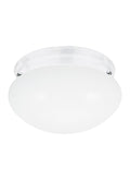 GENERATION LIGHTING, WEBSTER ONE LIGHT CEILING FLUSH MOUNT, FLUSH MOUNT CEILING LIGHTS
