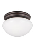 GENERATION LIGHTING, WEBSTER ONE LIGHT CEILING FLUSH MOUNT, FLUSH MOUNT CEILING LIGHTS
