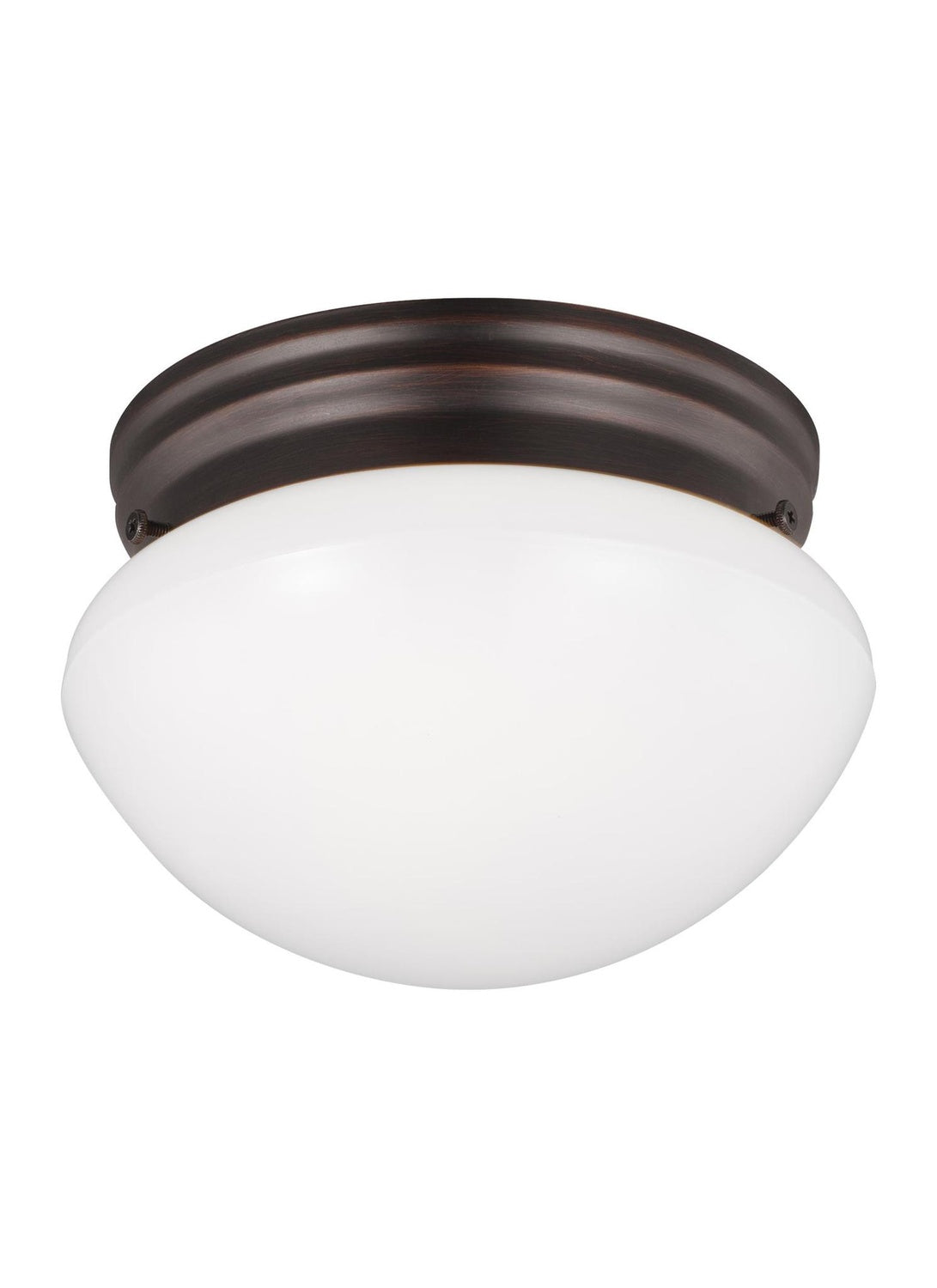GENERATION LIGHTING, WEBSTER ONE LIGHT CEILING FLUSH MOUNT, FLUSH MOUNT CEILING LIGHTS