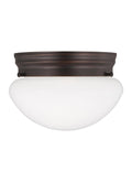 GENERATION LIGHTING, WEBSTER ONE LIGHT CEILING FLUSH MOUNT, FLUSH MOUNT CEILING LIGHTS