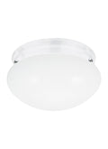 GENERATION LIGHTING, WEBSTER TWO LIGHT CEILING FLUSH MOUNT, FLUSH MOUNT CEILING LIGHTS