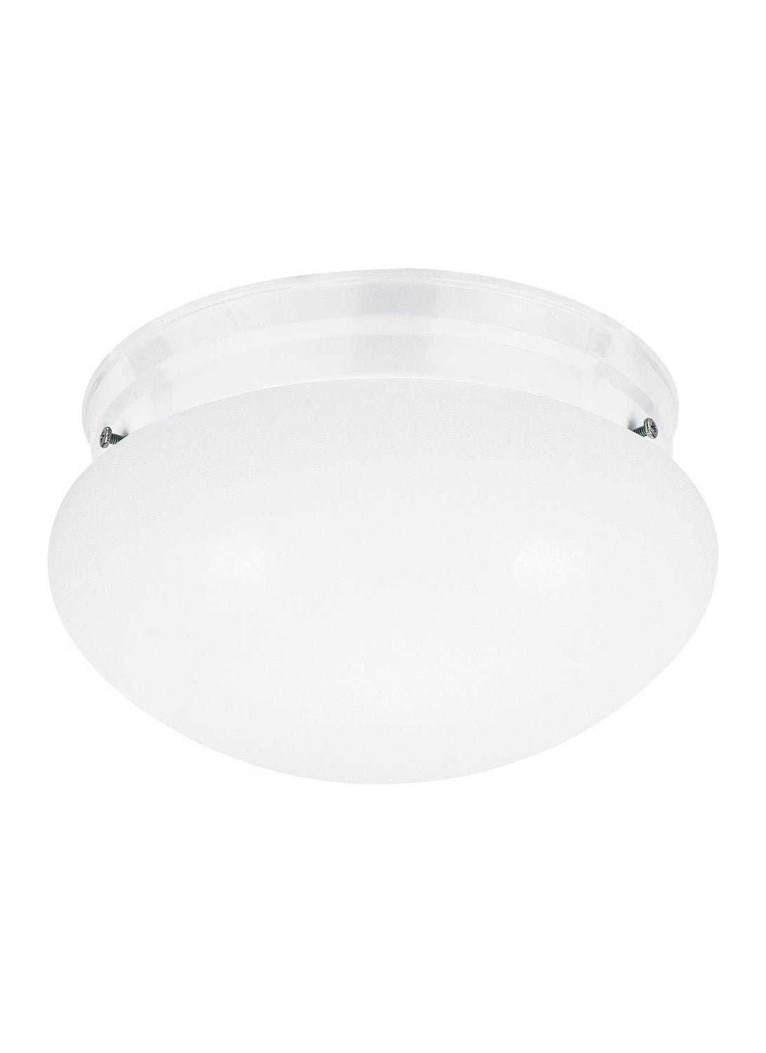 GENERATION LIGHTING, WEBSTER TWO LIGHT CEILING FLUSH MOUNT, FLUSH MOUNT CEILING LIGHTS